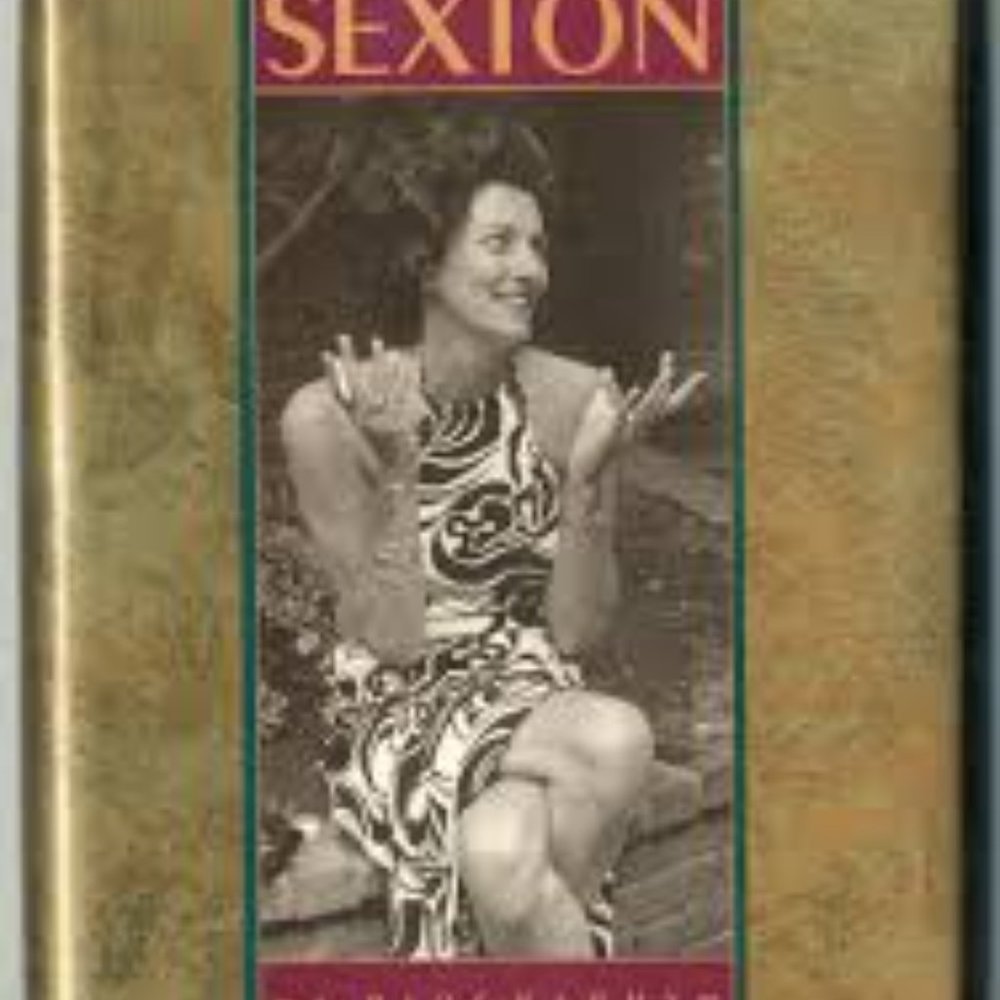Anne Sexton copy cat zebra print dress size medium - Picture 2 of 5